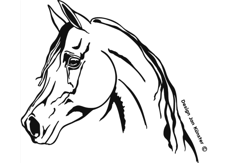 Motief Arabian (368×320 mm) antraciet incl. sierlijst